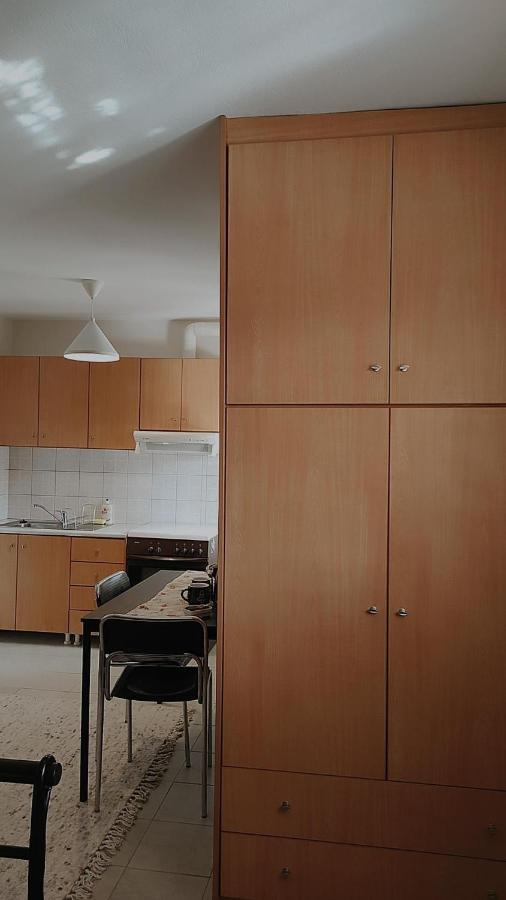 Amaltheia Studio Apartment Ioannina Exterior photo